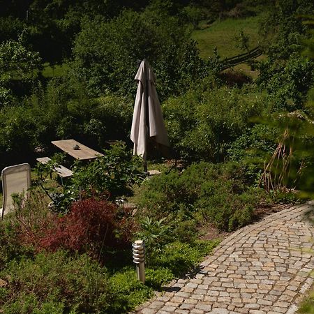 Haus Am Berzdorfer See - 3 Schlafzimmer - Ganzes Haus Zur Alleinnutzung - Terrasse - Hochwertige Ausstattung Görlitz Kültér fotó