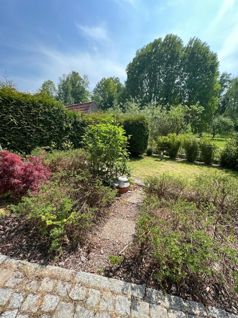 Haus Am Berzdorfer See - 3 Schlafzimmer - Ganzes Haus Zur Alleinnutzung - Terrasse - Hochwertige Ausstattung Görlitz Kültér fotó