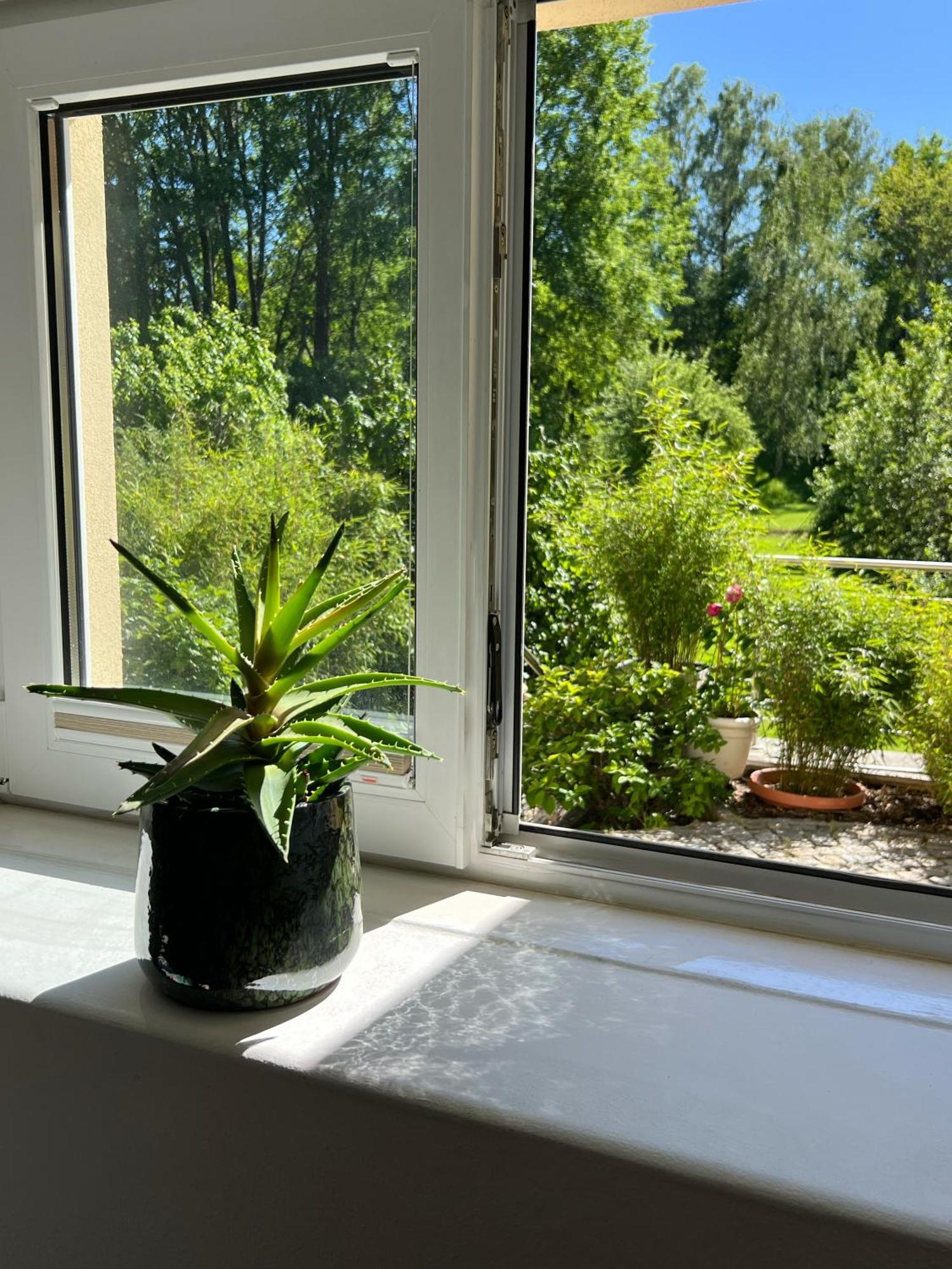 Haus Am Berzdorfer See - 3 Schlafzimmer - Ganzes Haus Zur Alleinnutzung - Terrasse - Hochwertige Ausstattung Görlitz Kültér fotó